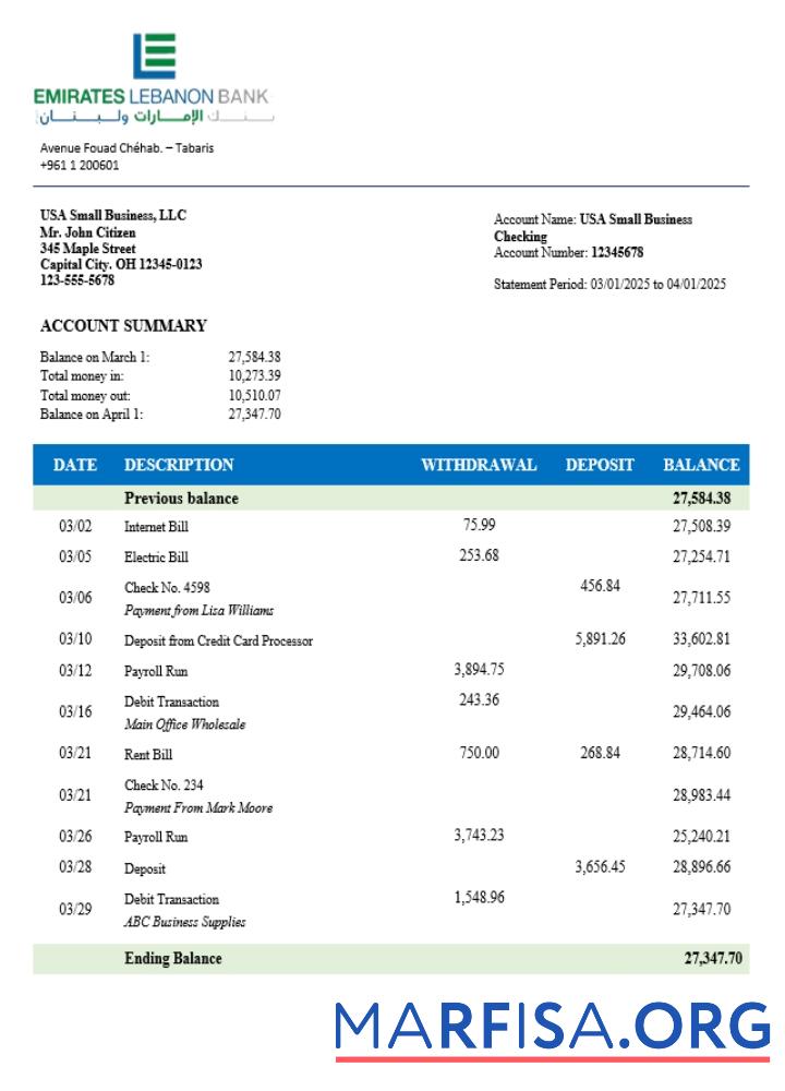 Printable Emirates Lebanese organization checking account statement Word and PDF template (1)